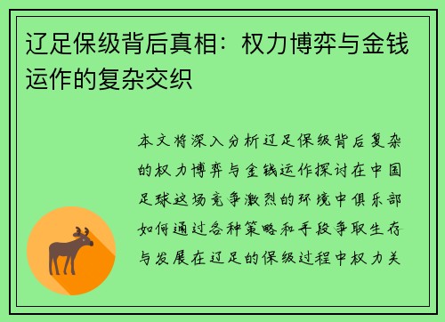 辽足保级背后真相：权力博弈与金钱运作的复杂交织