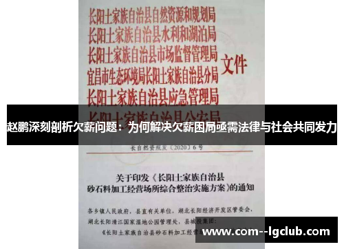 赵鹏深刻剖析欠薪问题:为何解决欠薪困局亟需法律与社会共同发力 赵鹏深刻剖析欠薪问题:为何解决欠薪困局亟需法律与社会共同发力