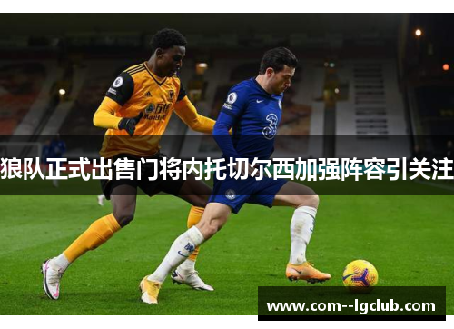 狼队正式出售门将内托切尔西加强阵容引关注